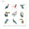 Zestaw do scrapbooking (HS code 48025890) SLS-111 Tropical Dreams vol. 2